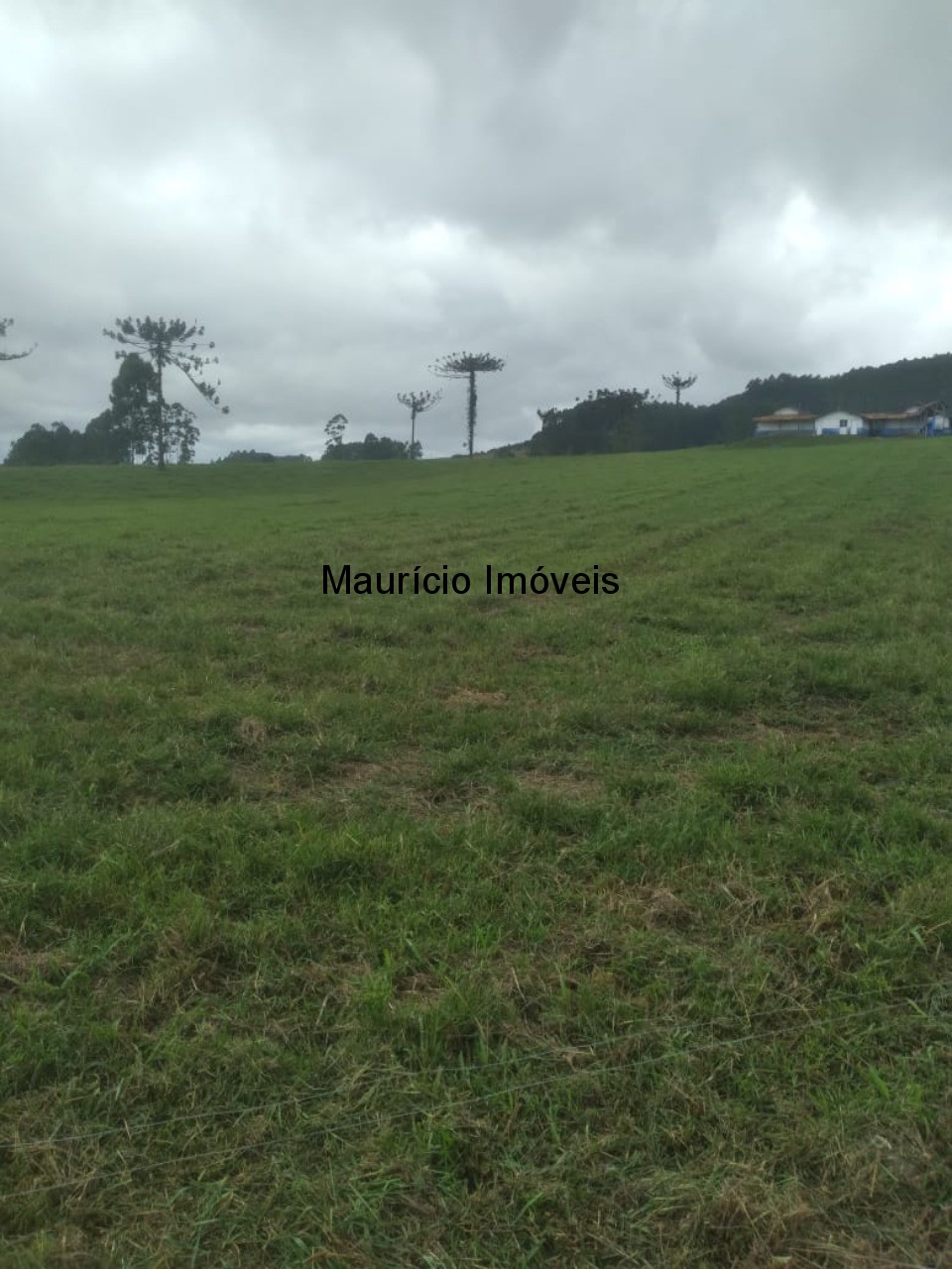 Fazenda à venda com 5 quartos, 50m² - Foto 10