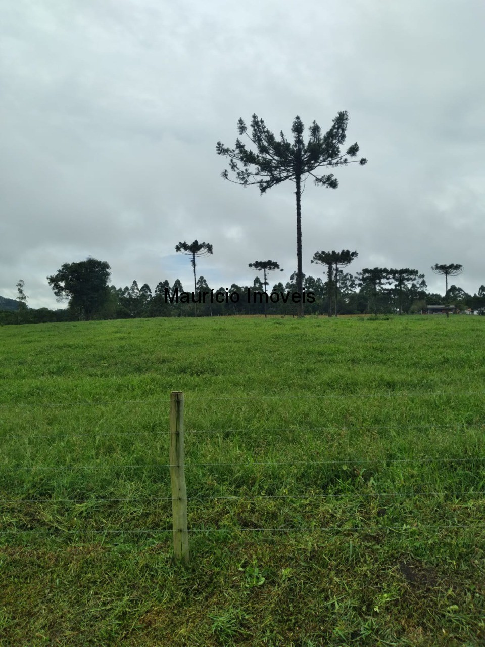 Fazenda à venda com 5 quartos, 50m² - Foto 29