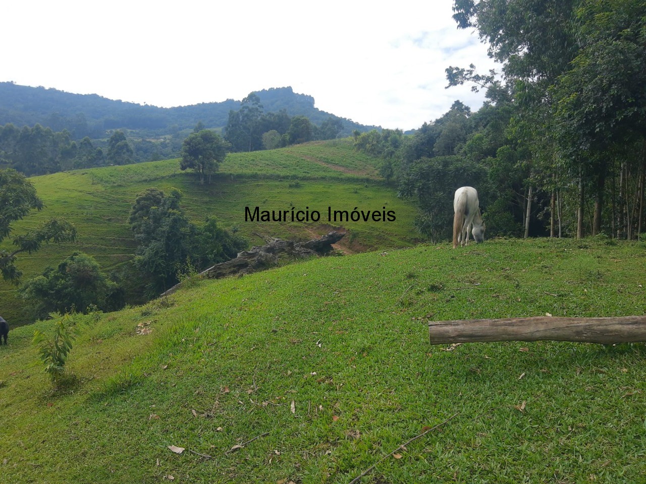 Fazenda à venda com 2 quartos, 18m² - Foto 37