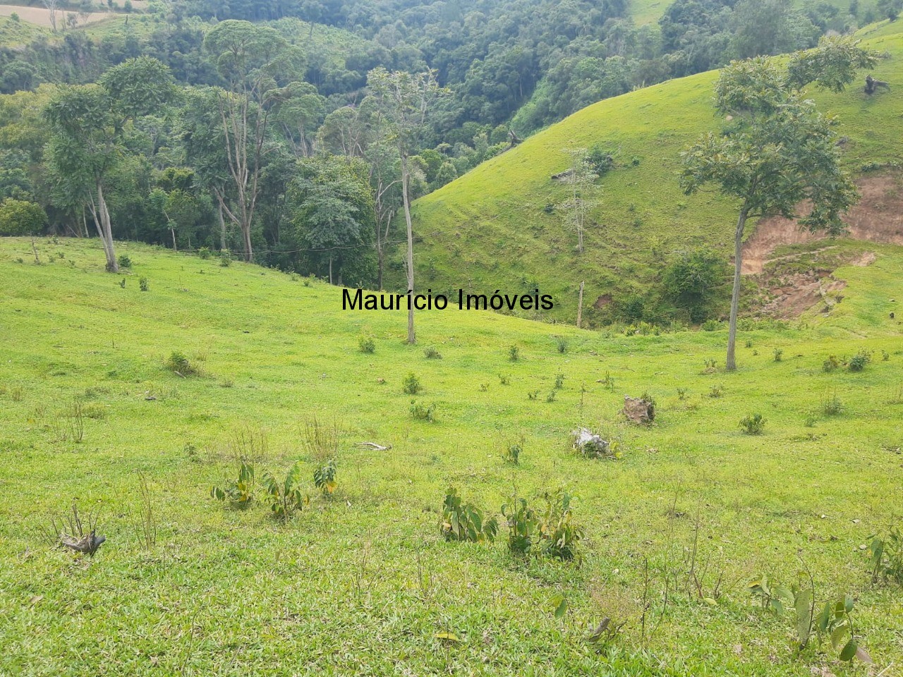 Fazenda à venda com 2 quartos, 18m² - Foto 30