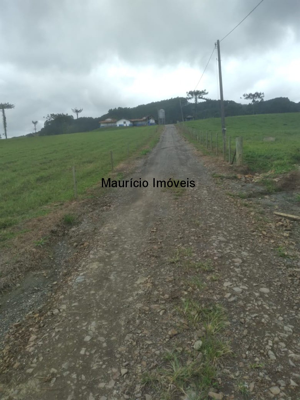 Fazenda à venda com 5 quartos, 50m² - Foto 14