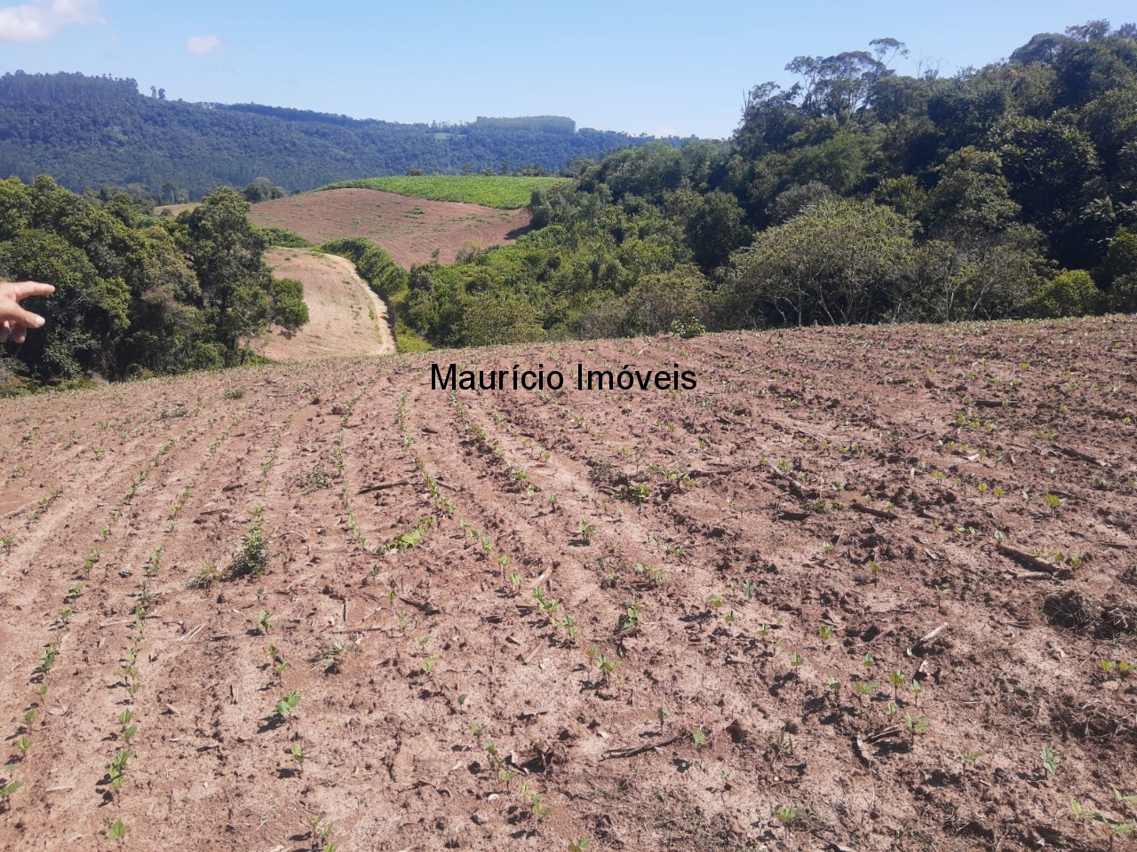 Fazenda à venda com 2 quartos, 11m² - Foto 38