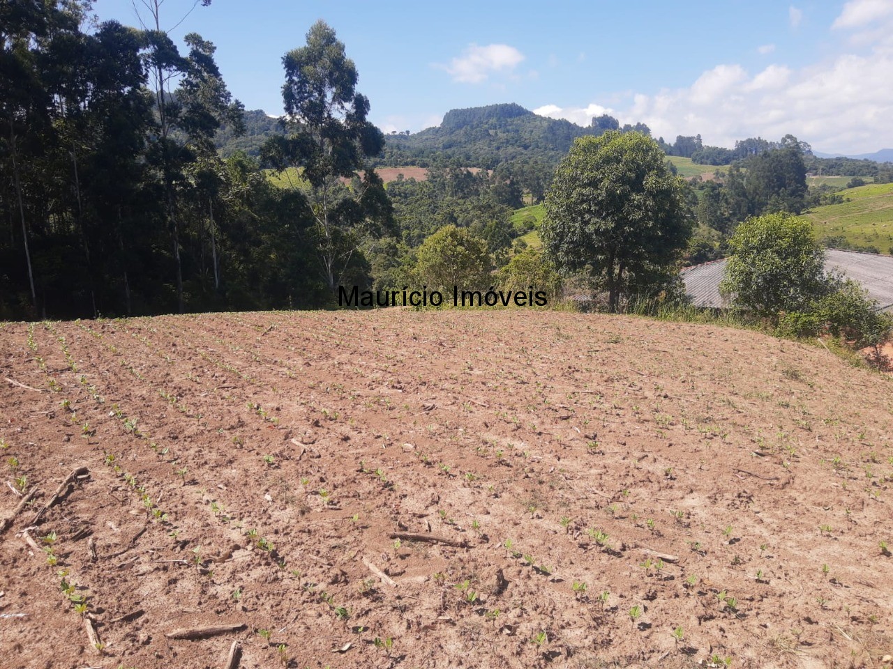 Fazenda à venda com 2 quartos, 11m² - Foto 37