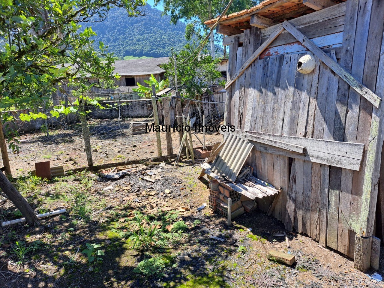 Casa à venda com 3 quartos, 1050m² - Foto 17