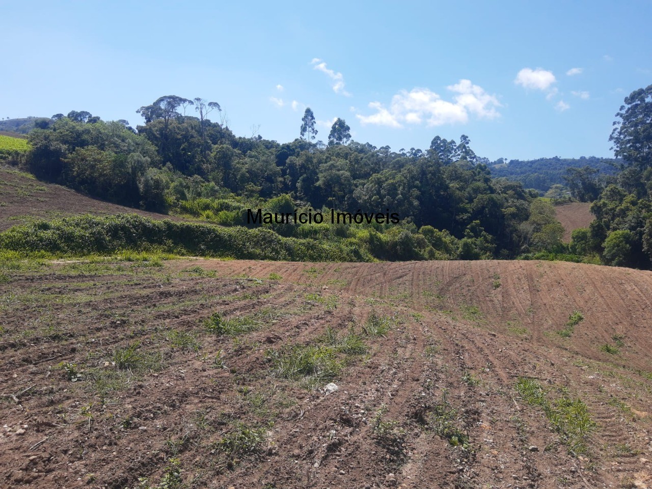 Fazenda à venda com 2 quartos, 11m² - Foto 23