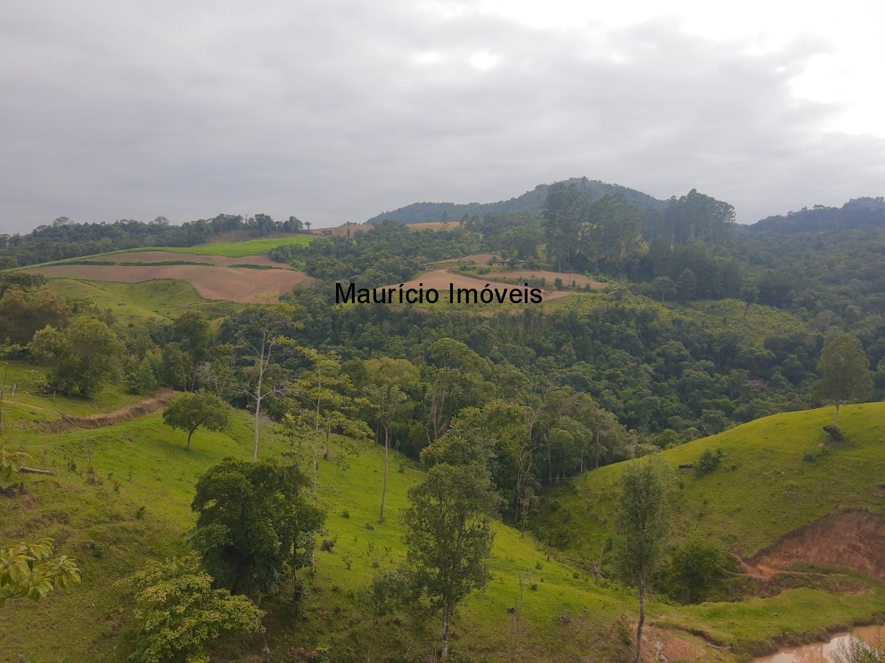 Fazenda à venda com 2 quartos, 18m² - Foto 29