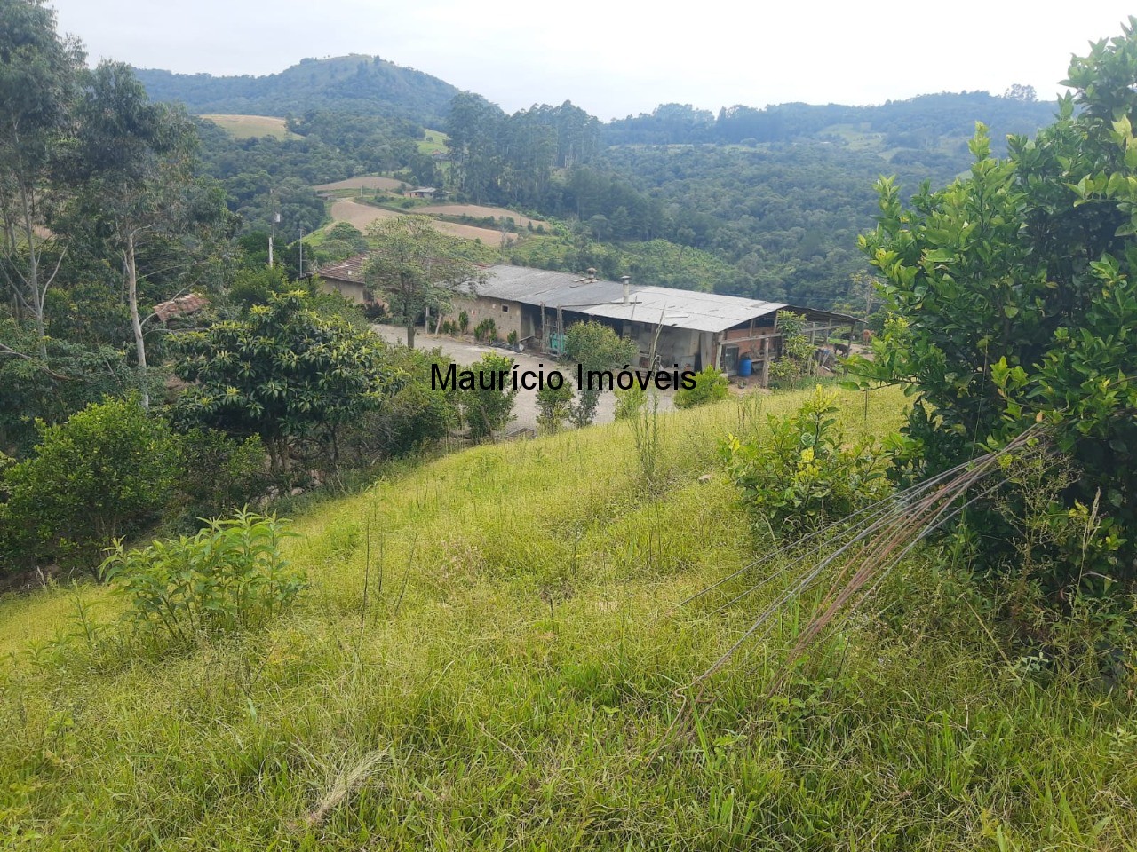 Fazenda à venda com 2 quartos, 18m² - Foto 45