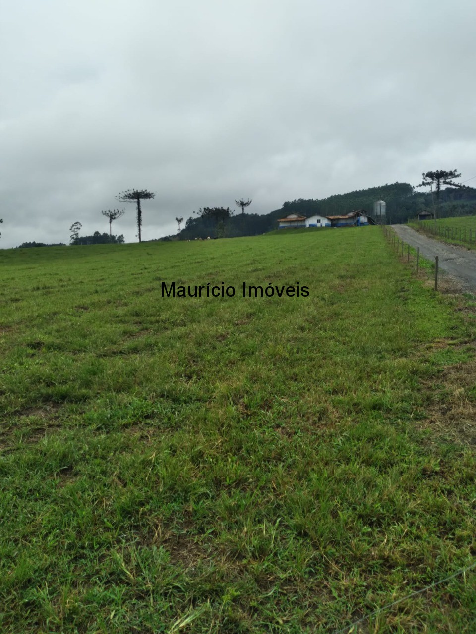 Fazenda à venda com 5 quartos, 50m² - Foto 31