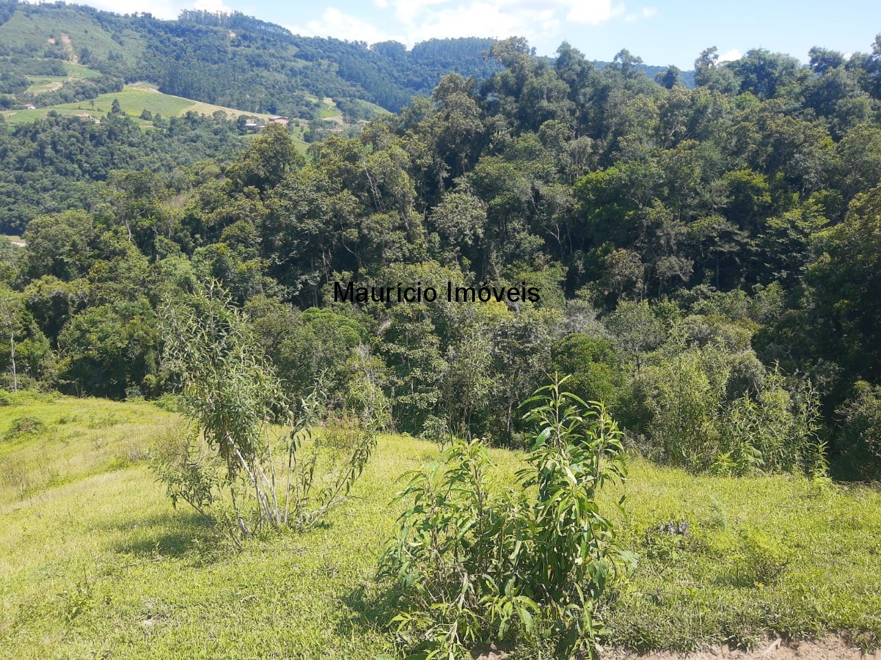 Fazenda à venda com 2 quartos, 11m² - Foto 7