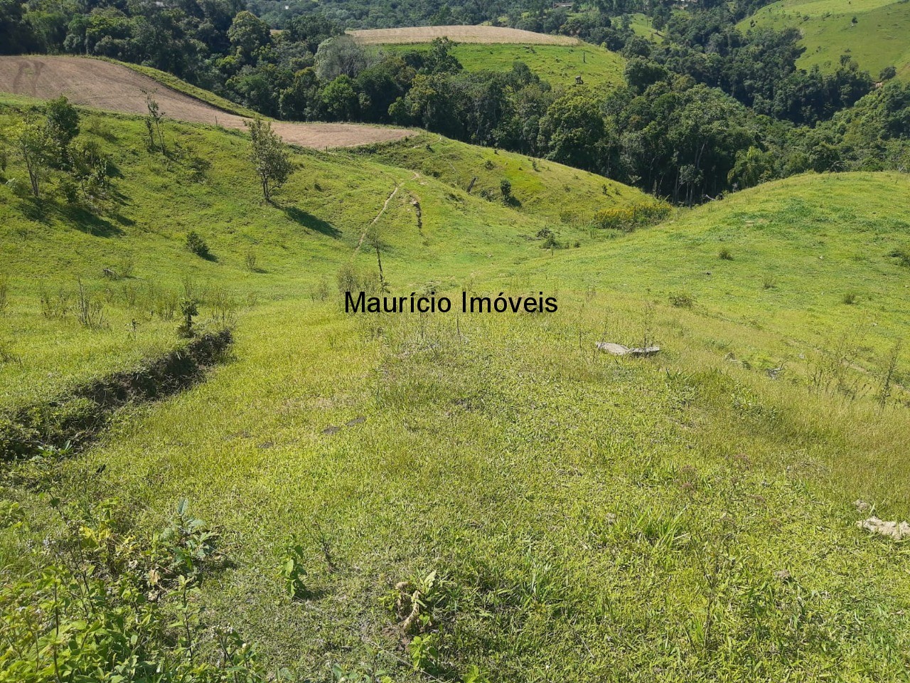 Fazenda à venda com 2 quartos, 11m² - Foto 12