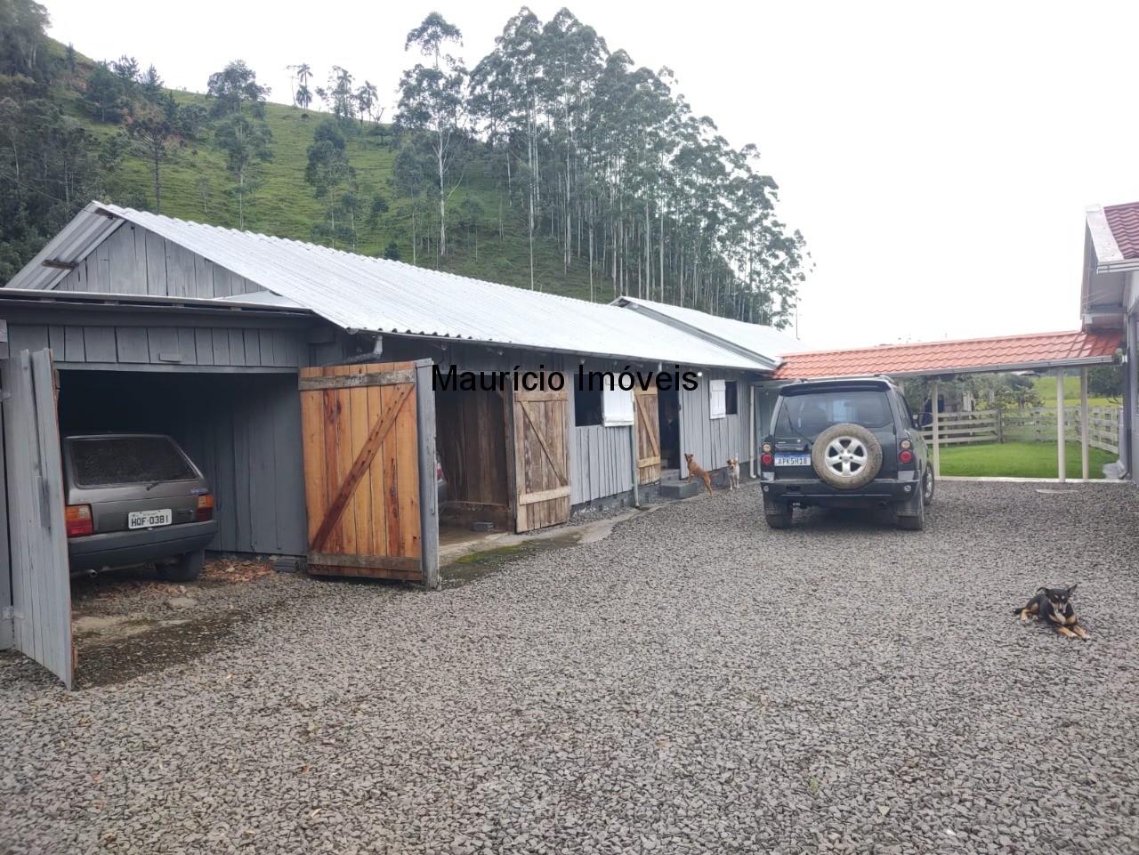 Fazenda à venda com 5 quartos, 11m² - Foto 13