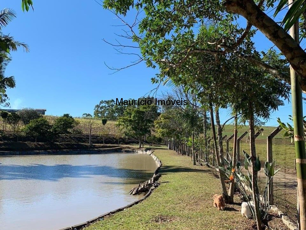 Chácara à venda com 3 quartos, 30000m² - Foto 25