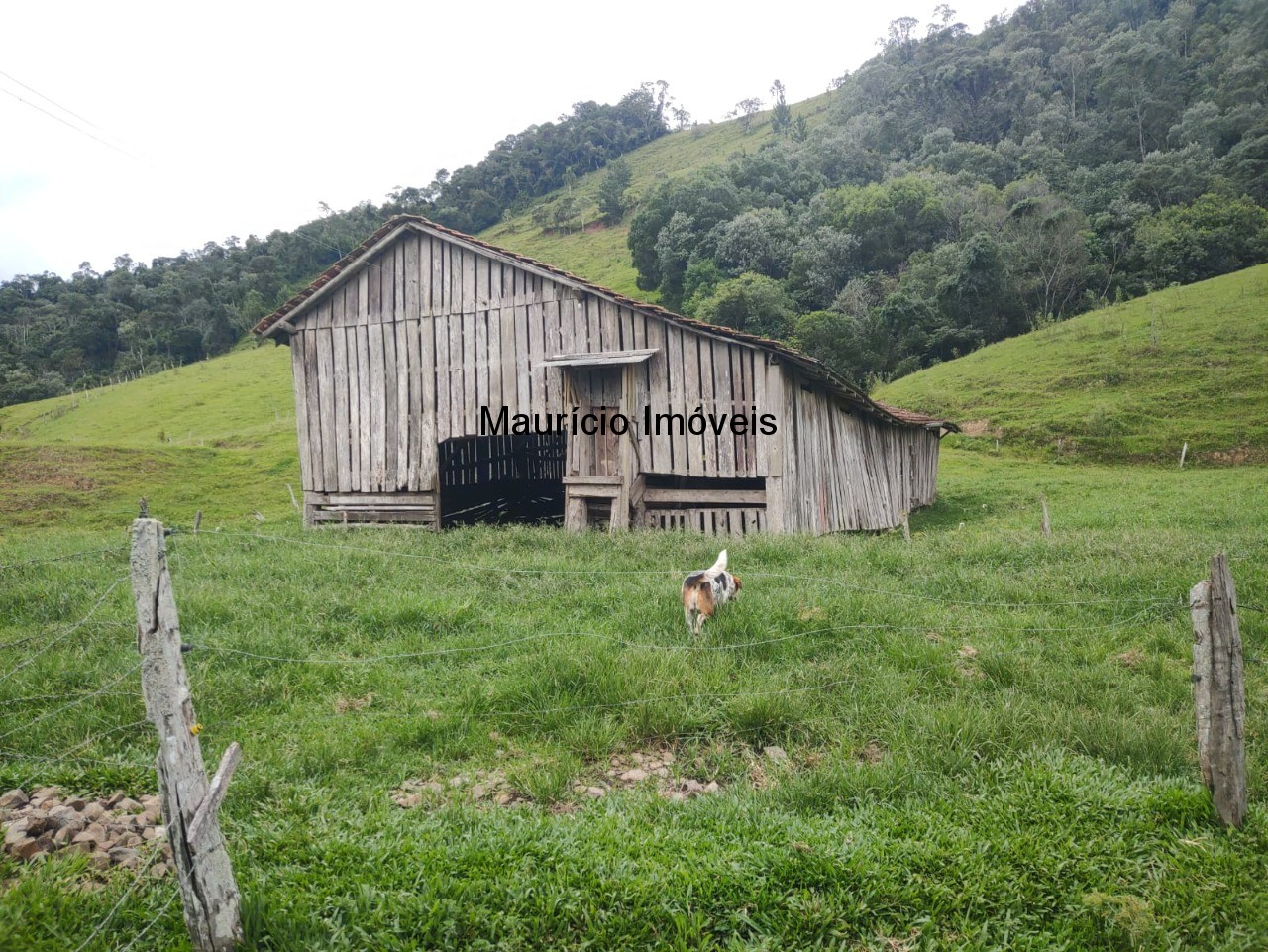 Fazenda à venda com 5 quartos, 11m² - Foto 18