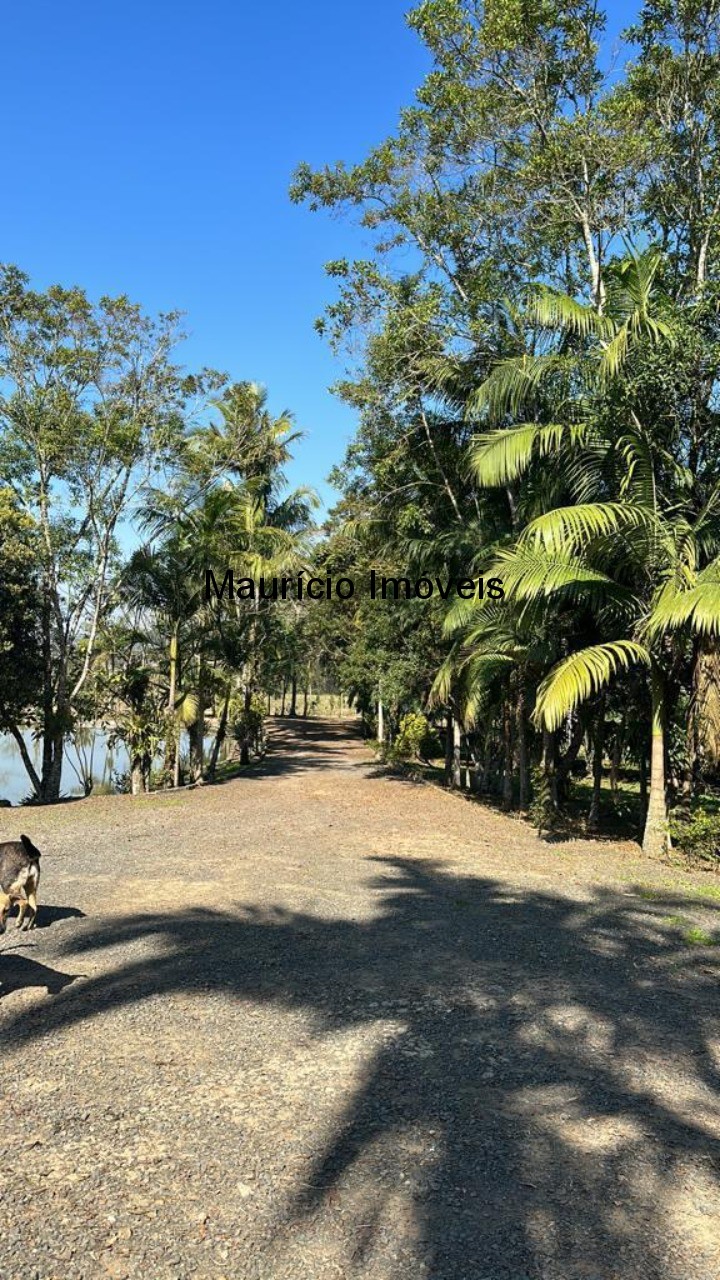 Chácara à venda com 3 quartos, 30000m² - Foto 8