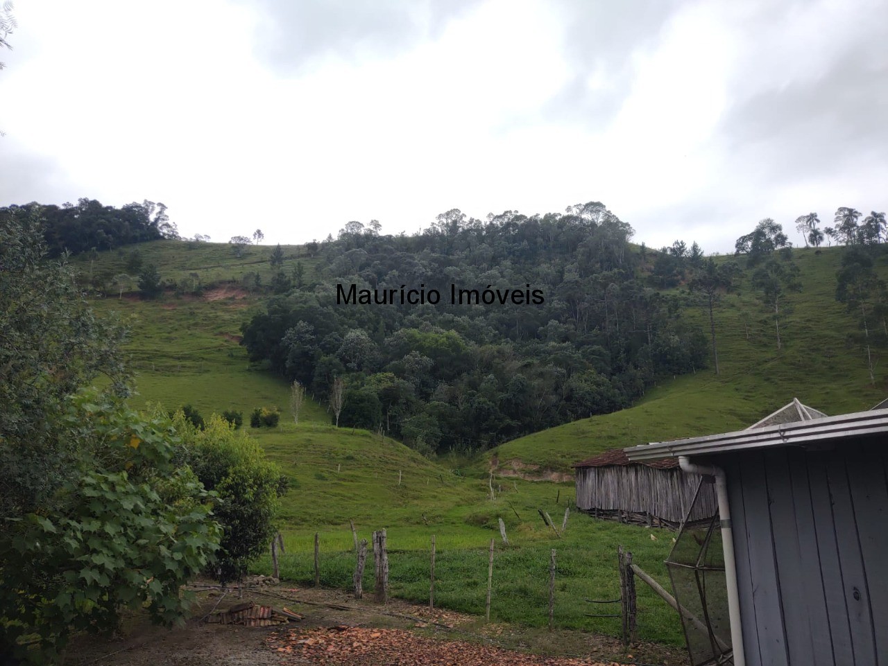 Fazenda à venda com 5 quartos, 11m² - Foto 8