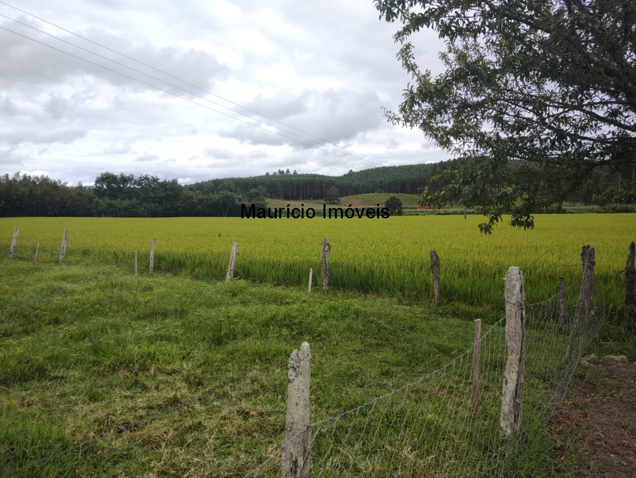 Fazenda à venda com 5 quartos, 11m² - Foto 26