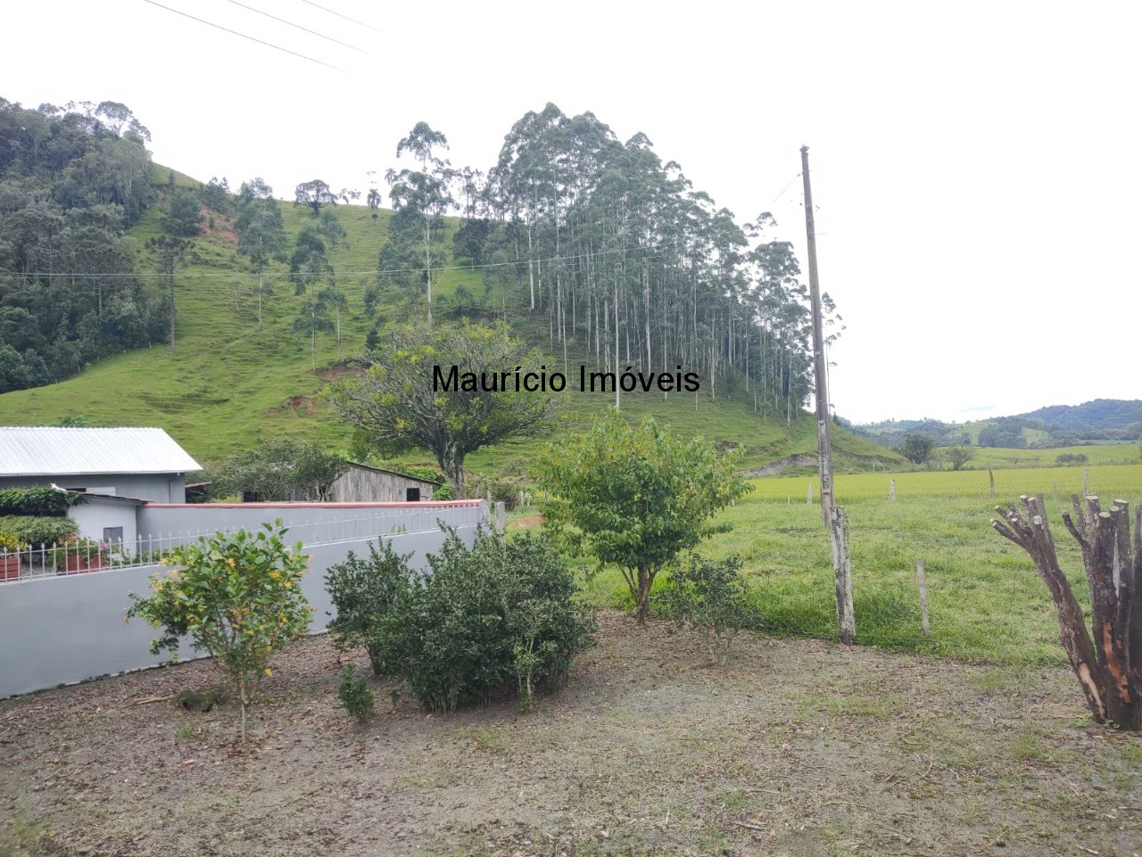 Fazenda à venda com 5 quartos, 11m² - Foto 29