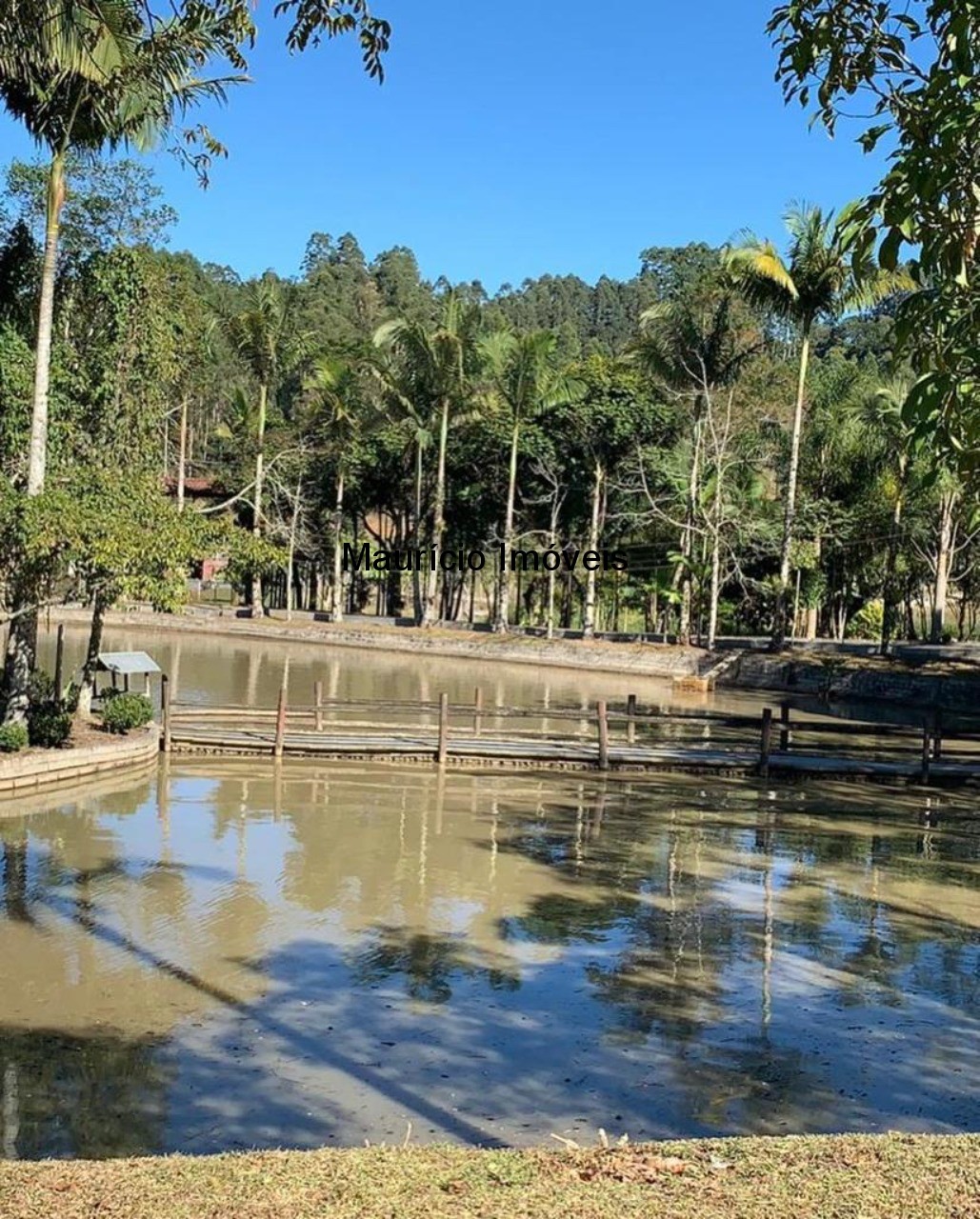 Chácara à venda com 3 quartos, 30000m² - Foto 28