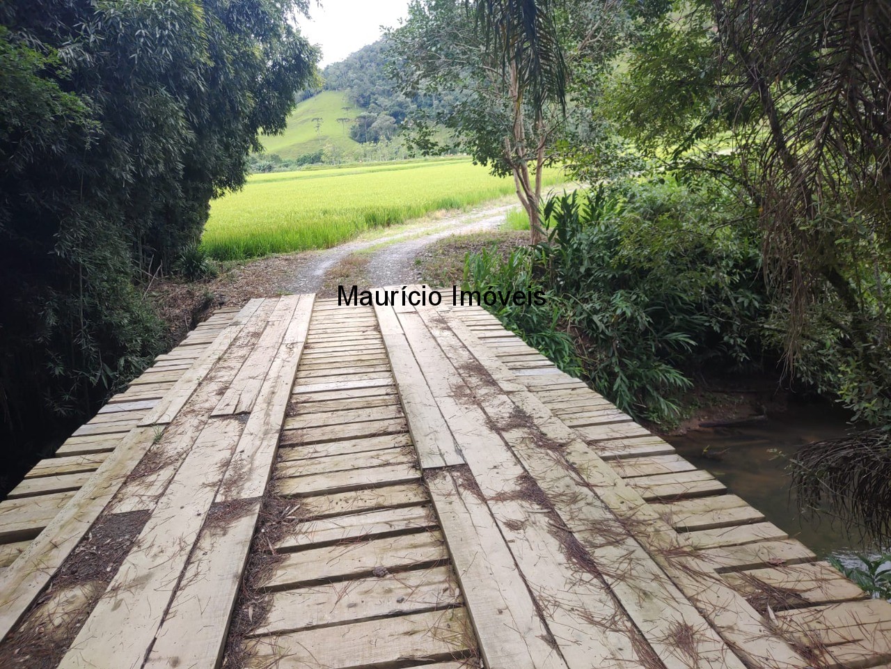 Fazenda à venda com 5 quartos, 11m² - Foto 5