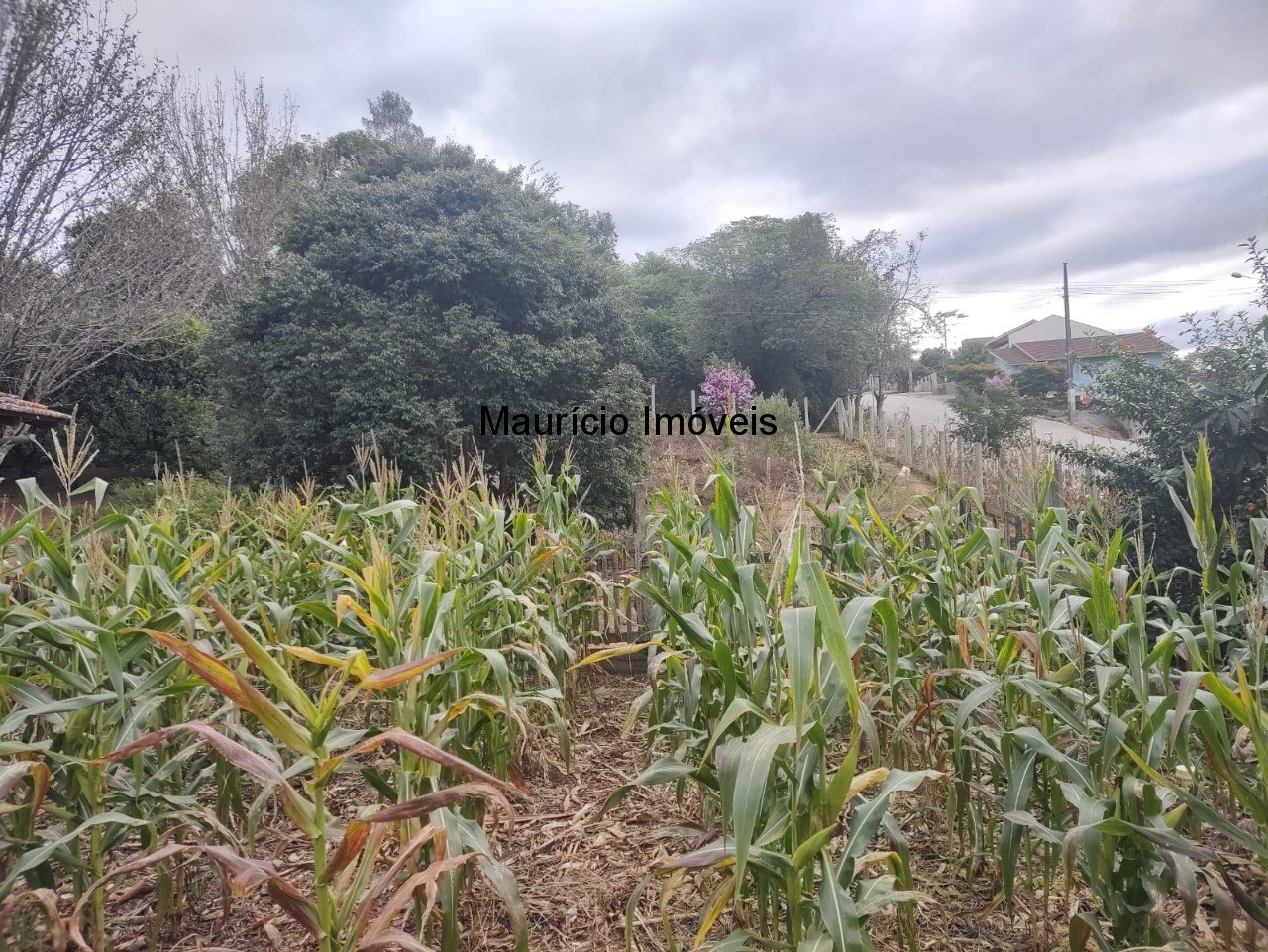 Terreno à venda, 1245m² - Foto 21