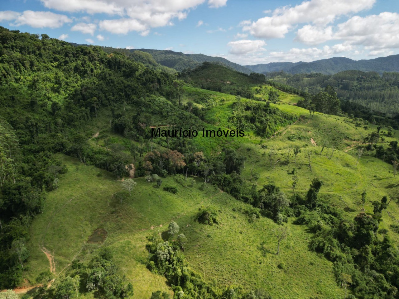 Fazenda à venda com 1 quarto, 95m² - Foto 21