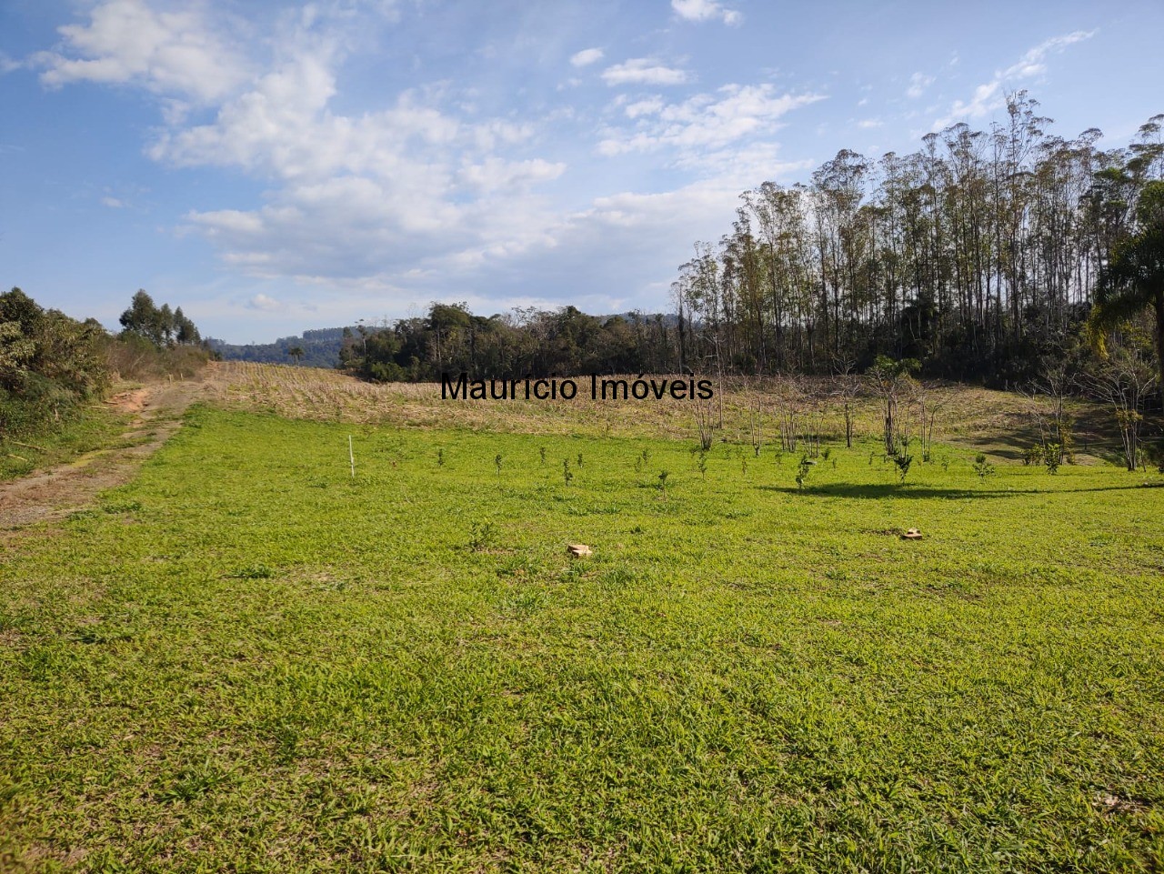 Terreno à venda, 30000m² - Foto 12