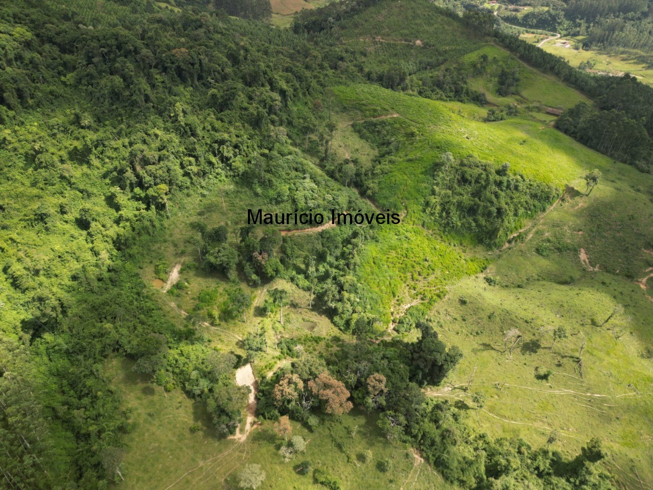 Fazenda à venda com 1 quarto, 95m² - Foto 20