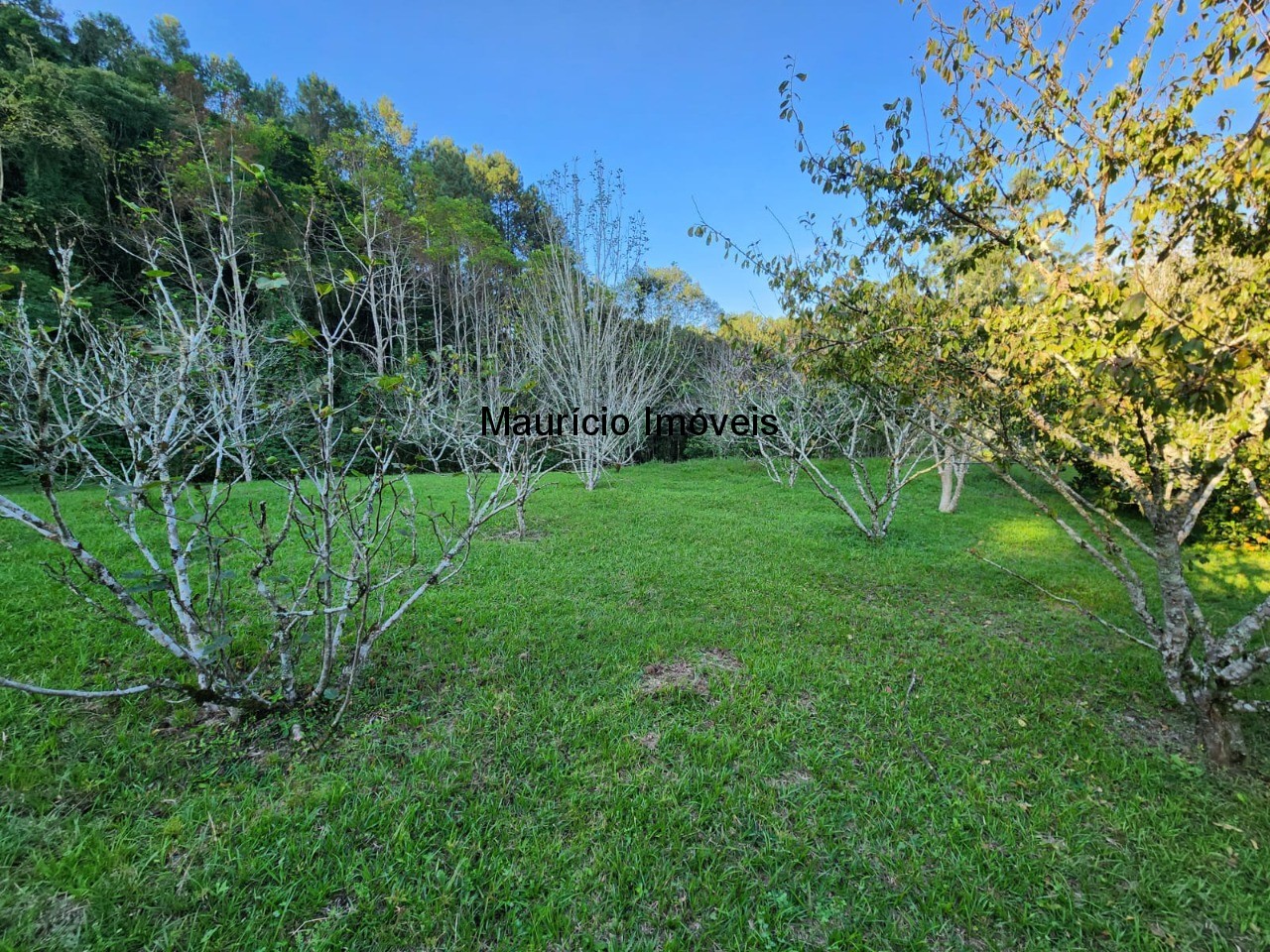 Fazenda à venda com 2 quartos, 18m² - Foto 18