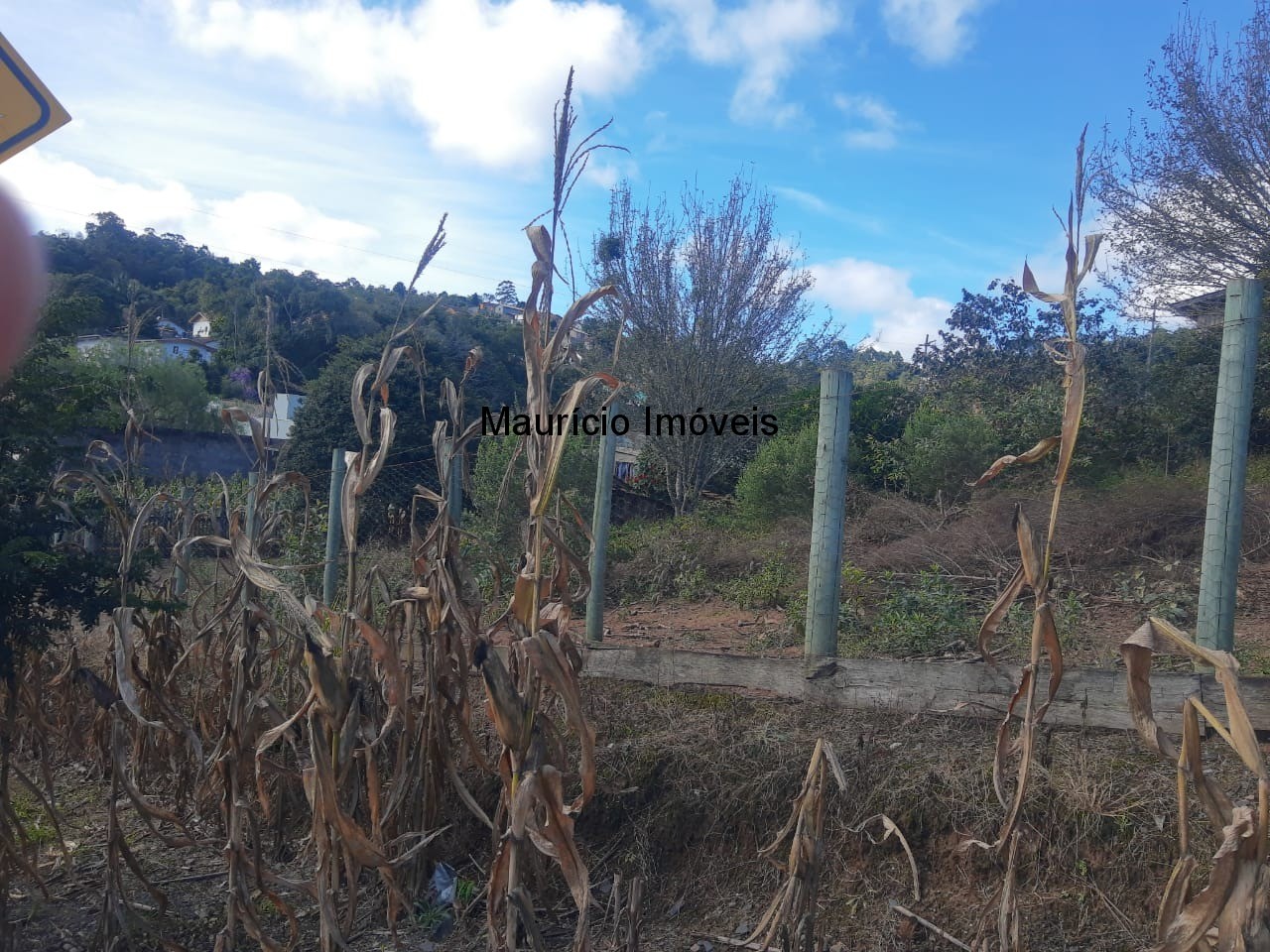 Terreno à venda, 1245m² - Foto 6