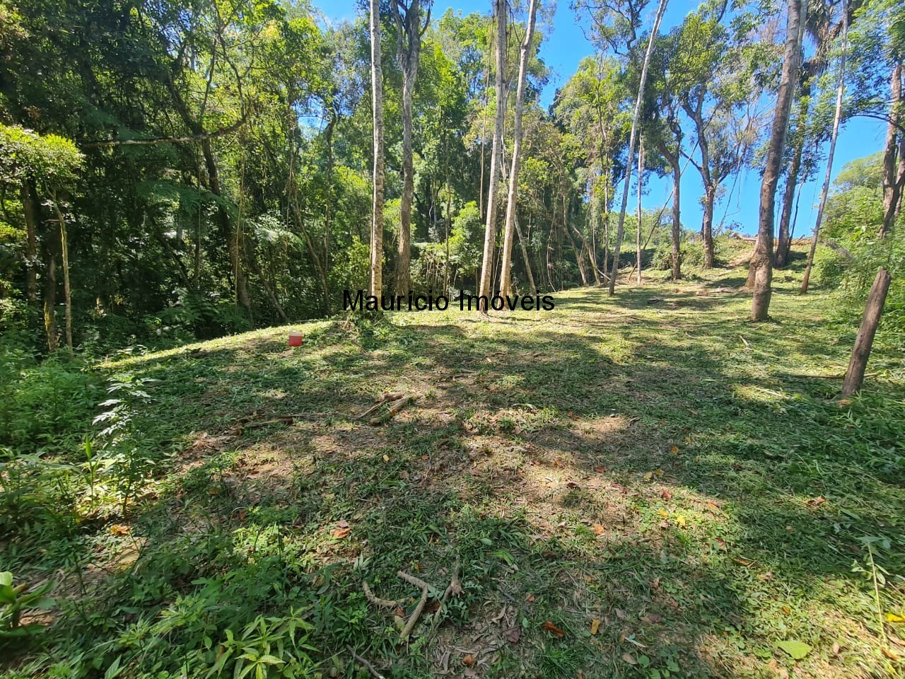 Terreno à venda, 30000m² - Foto 7