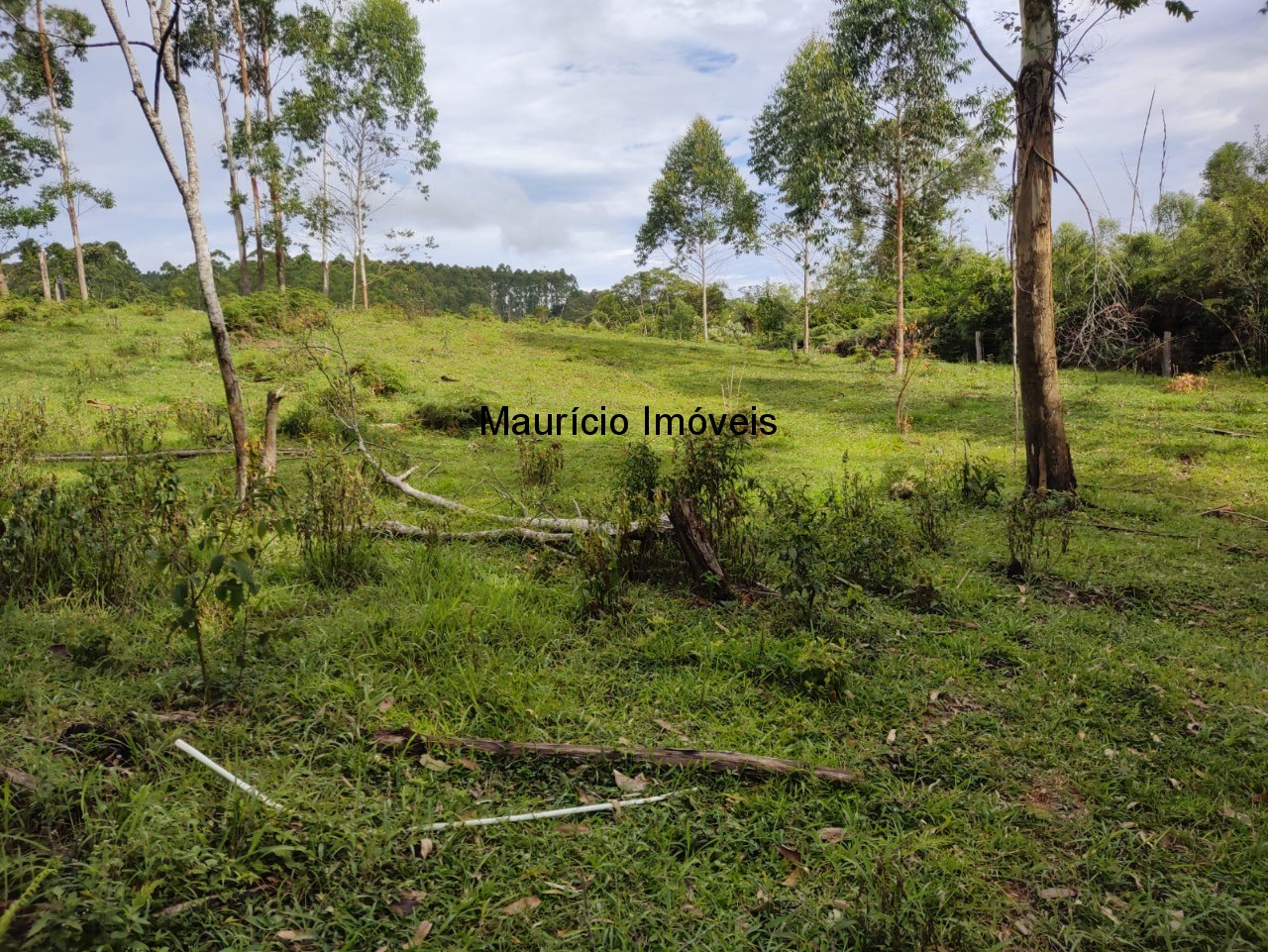 Fazenda à venda com 1 quarto, 4m² - Foto 5