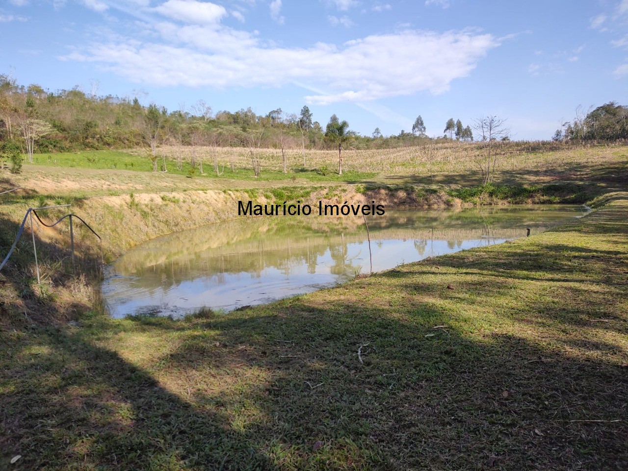 Terreno à venda, 30000m² - Foto 14