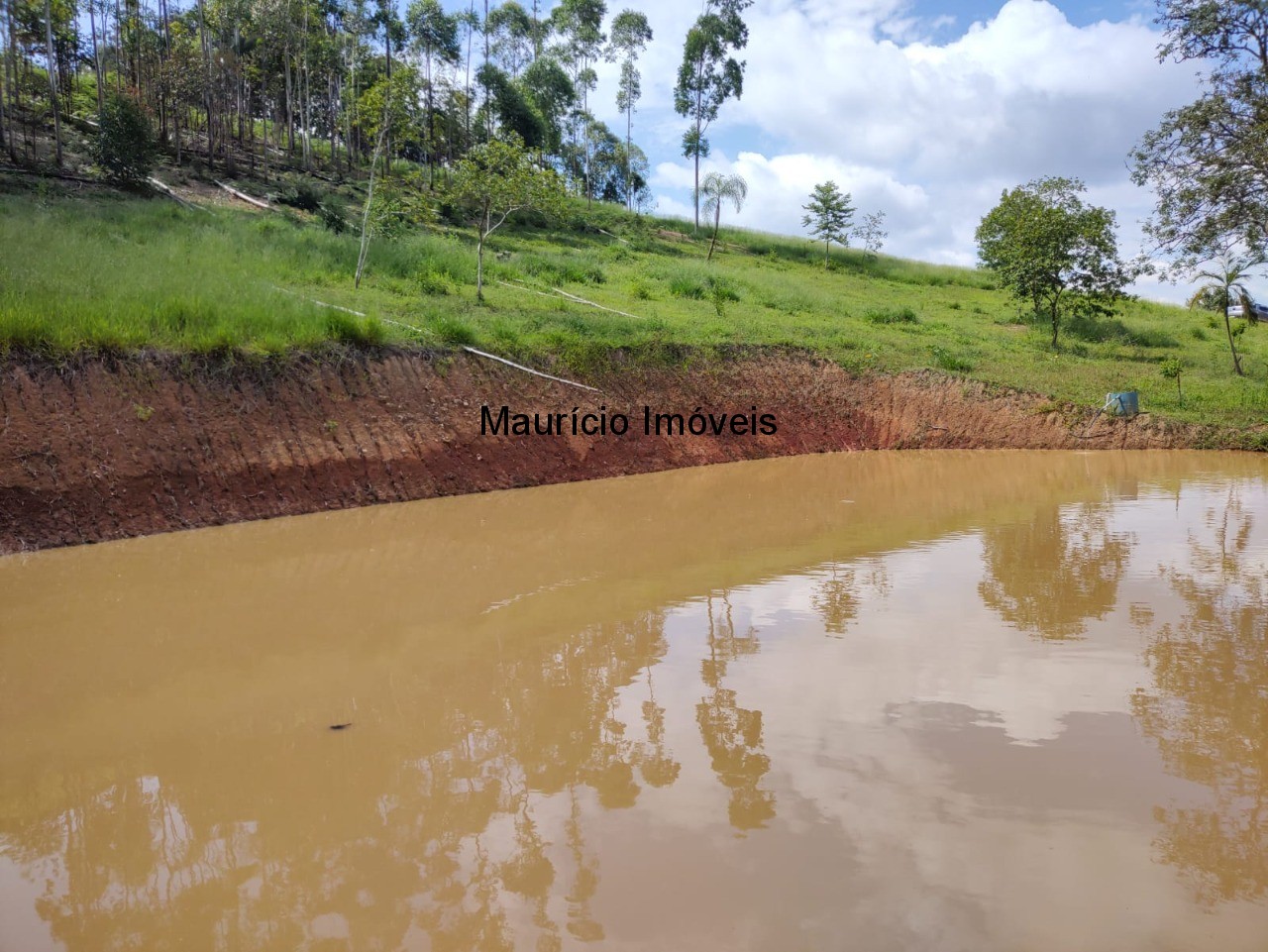 Fazenda à venda com 1 quarto, 4m² - Foto 20