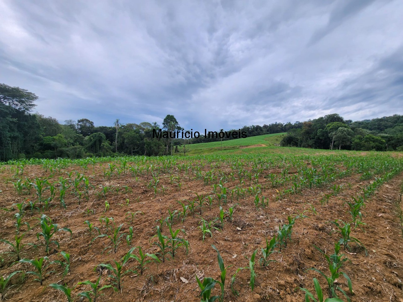 Fazenda à venda com 2 quartos, 18m² - Foto 21