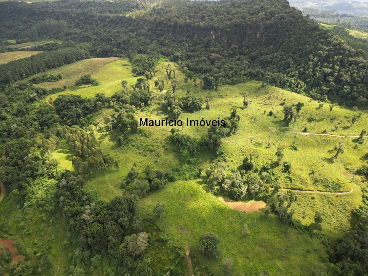 Fazenda à venda com 1 quarto, 95m² - Foto 9