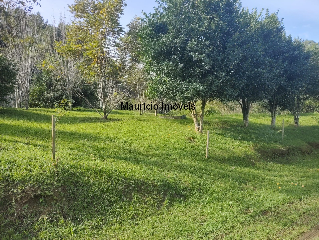 Fazenda à venda com 2 quartos, 18m² - Foto 34