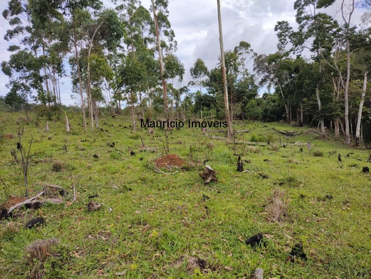 Fazenda à venda com 1 quarto, 4m² - Foto 11