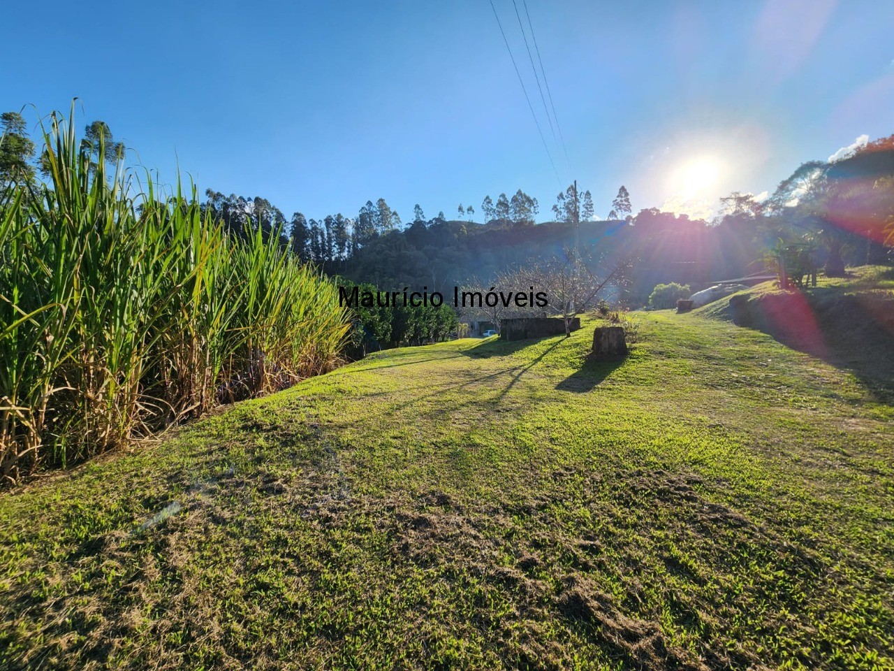 Fazenda à venda com 2 quartos, 18m² - Foto 10