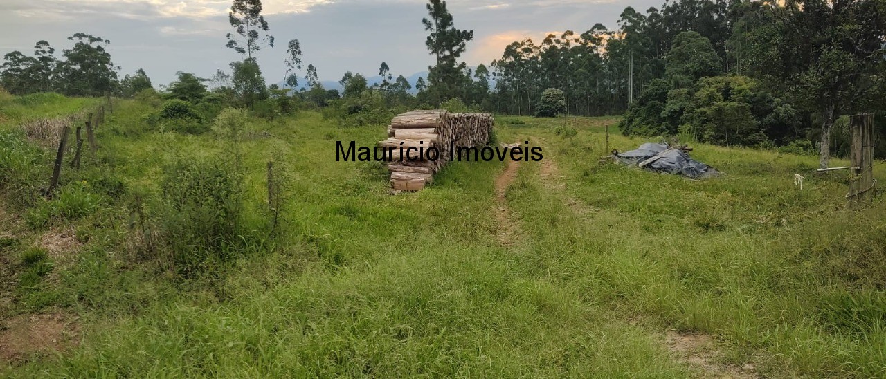 Fazenda à venda com 1 quarto, 13m² - Foto 5