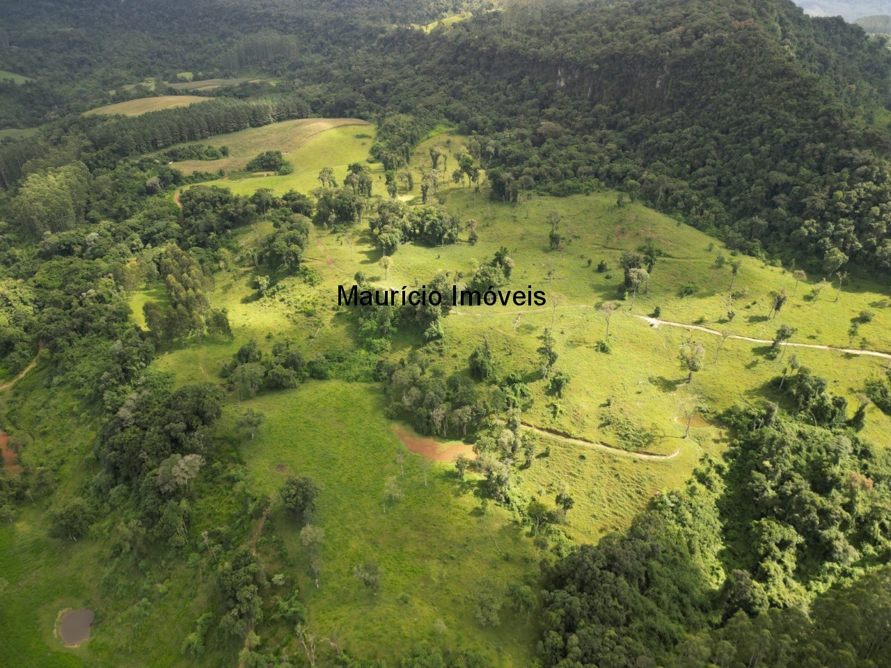 Fazenda à venda com 1 quarto, 95m² - Foto 8