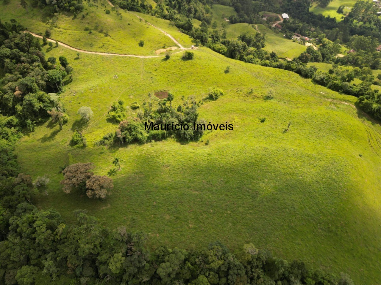 Fazenda à venda com 1 quarto, 95m² - Foto 5