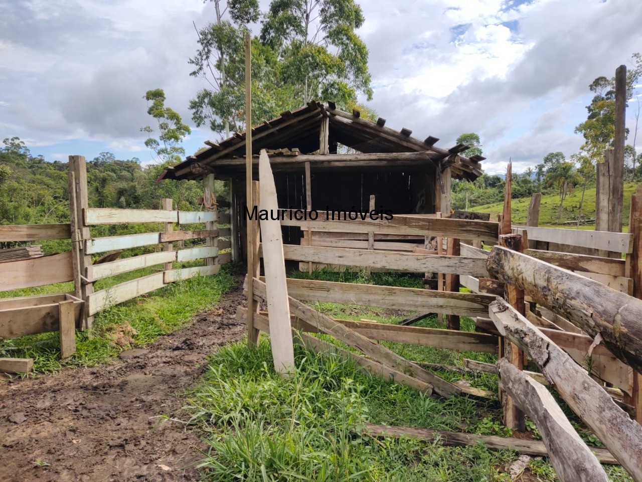 Fazenda à venda com 1 quarto, 4m² - Foto 13