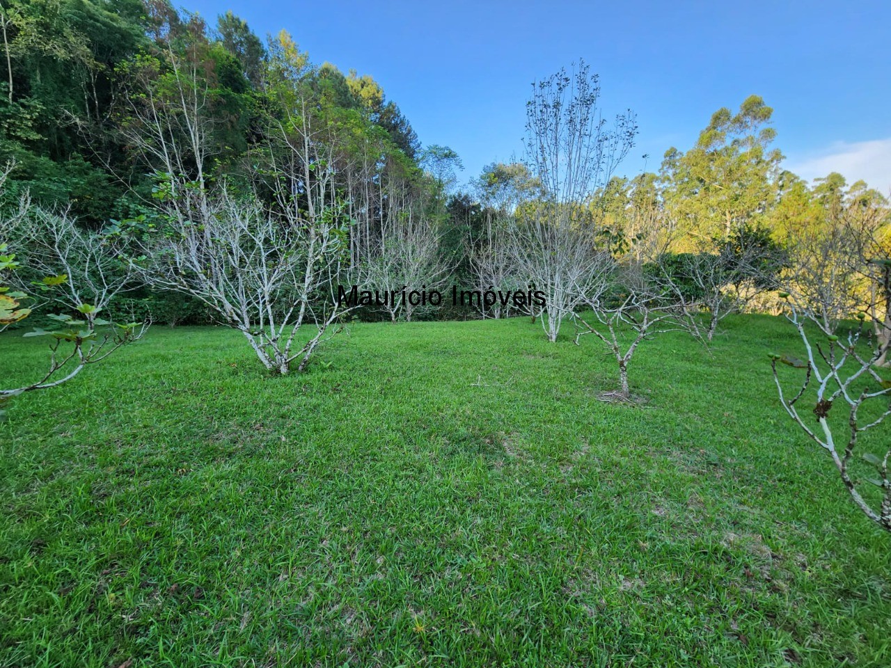 Fazenda à venda com 2 quartos, 18m² - Foto 20