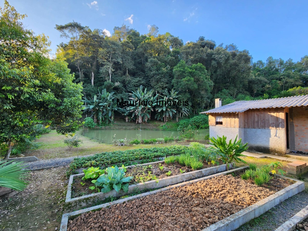 Fazenda à venda com 2 quartos, 18m² - Foto 8