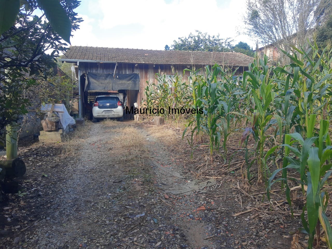 Terreno à venda, 1245m² - Foto 10