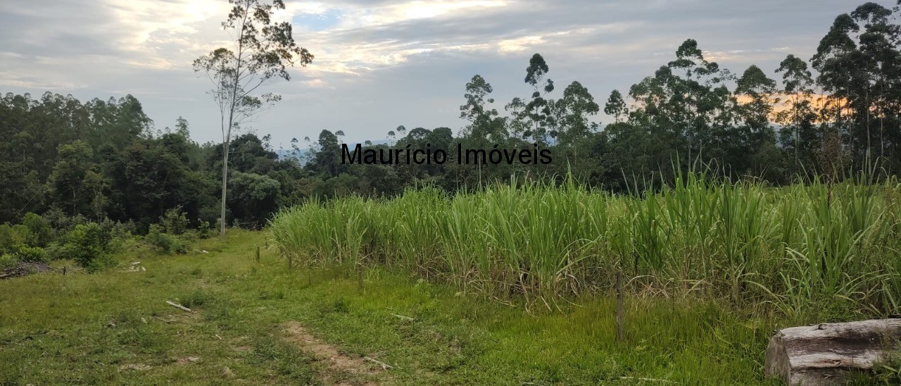 Fazenda à venda com 1 quarto, 13m² - Foto 3