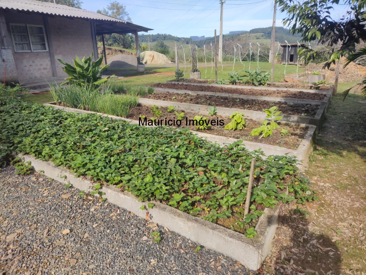 Fazenda à venda com 2 quartos, 18m² - Foto 35