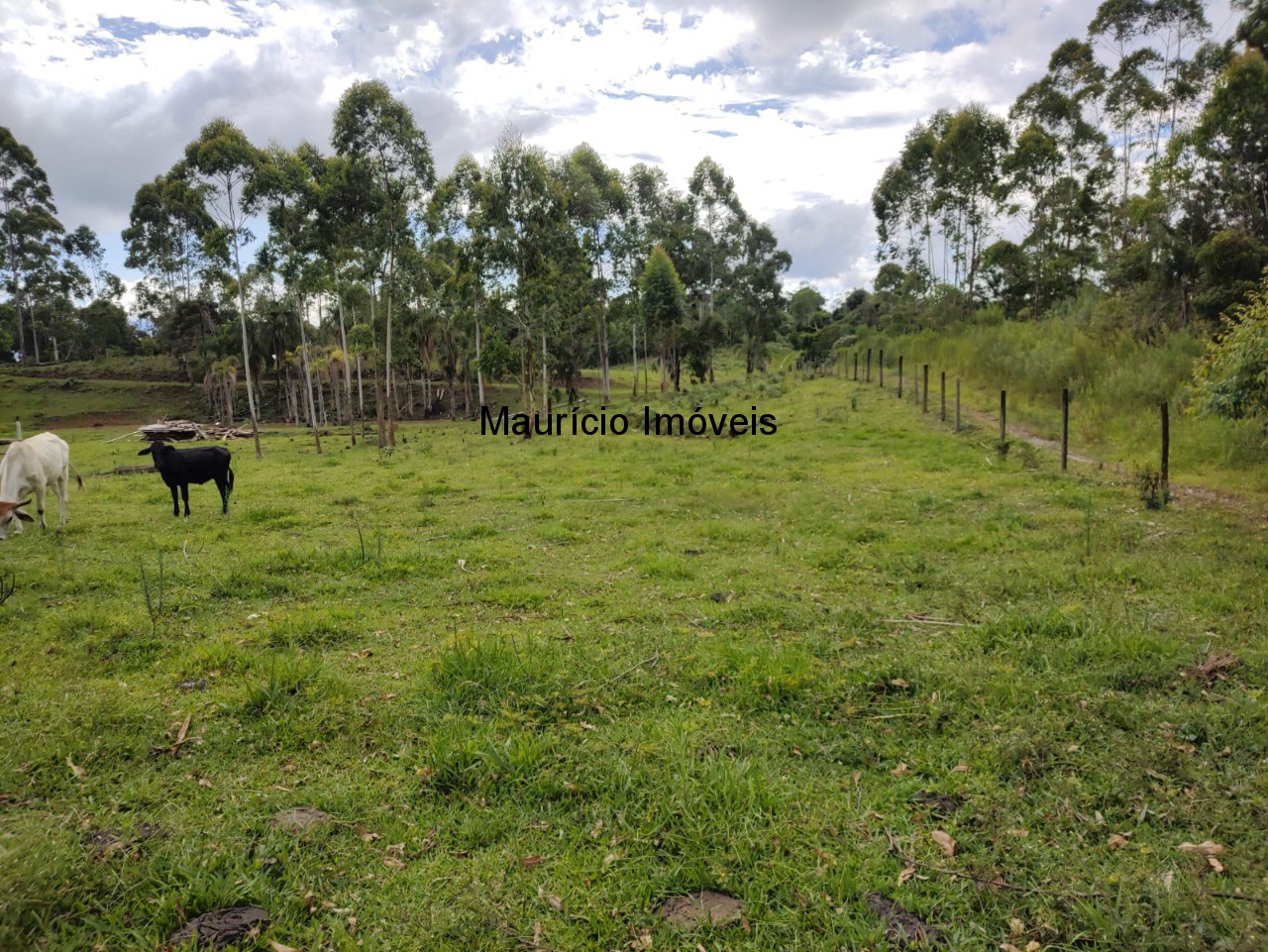 Fazenda à venda com 1 quarto, 4m² - Foto 17