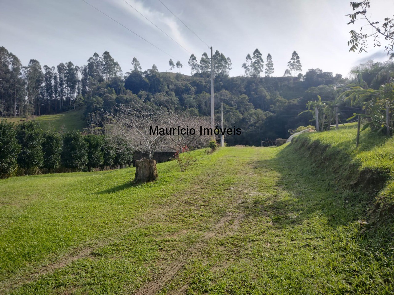 Fazenda à venda com 2 quartos, 18m² - Foto 32