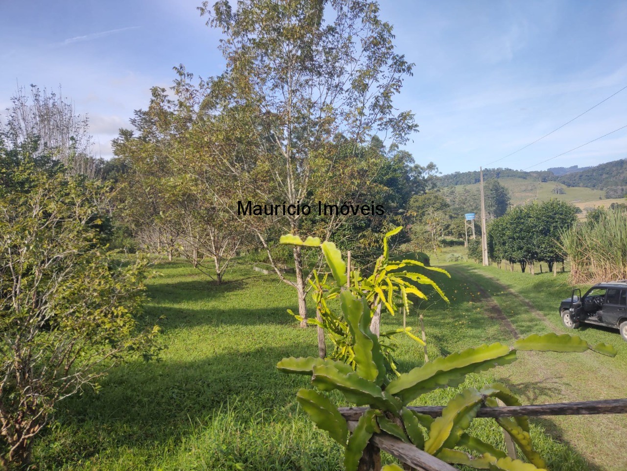 Fazenda à venda com 2 quartos, 18m² - Foto 36